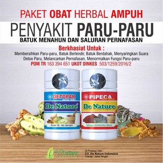 Illustration for article titled Obat Herbal Penyakit Paru Paru Kronis